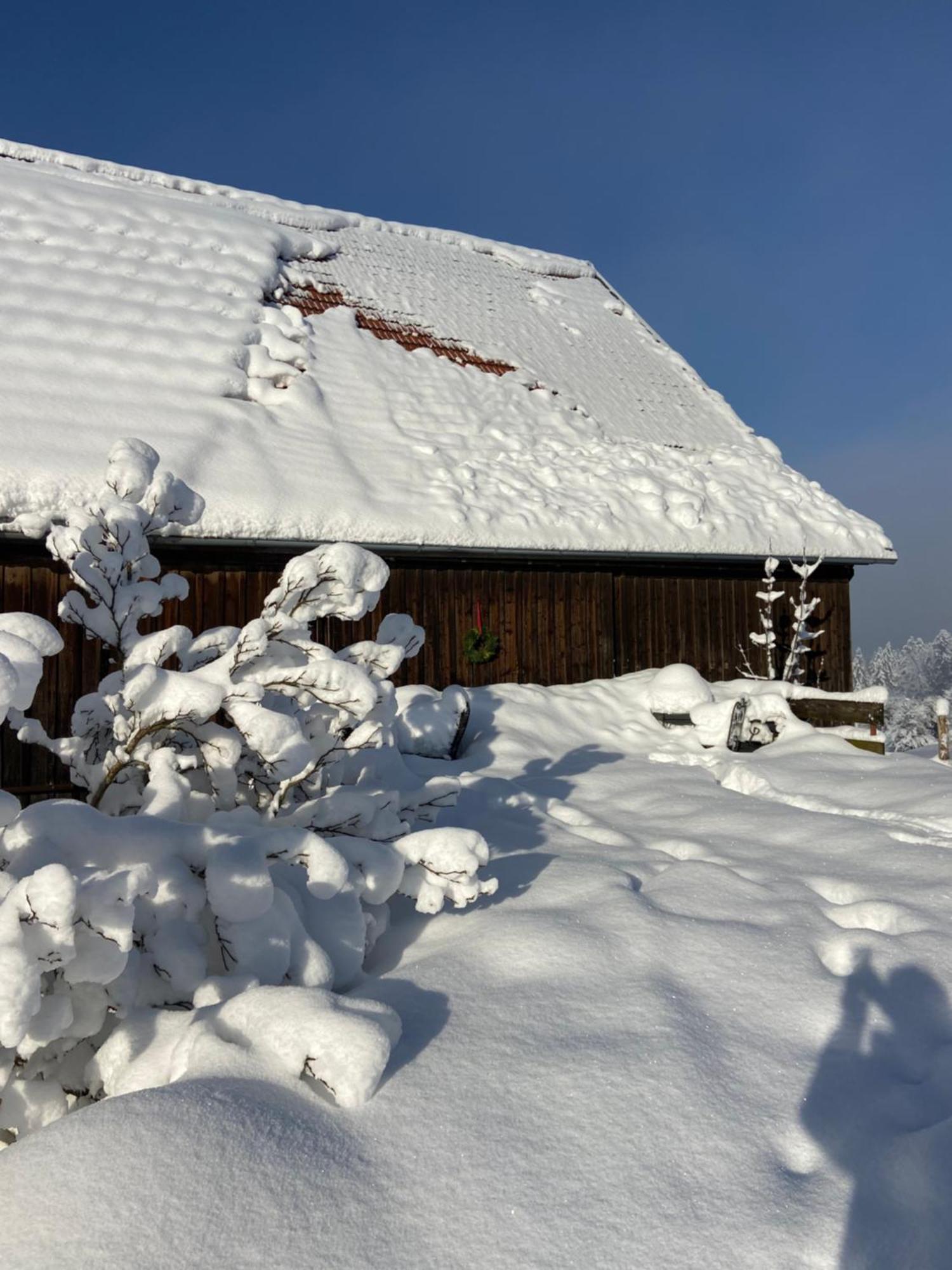 Allgaeu Cottage - Traumhafter Blick In Die Schweizer Berge Weiler-Simmerberg Exterior photo